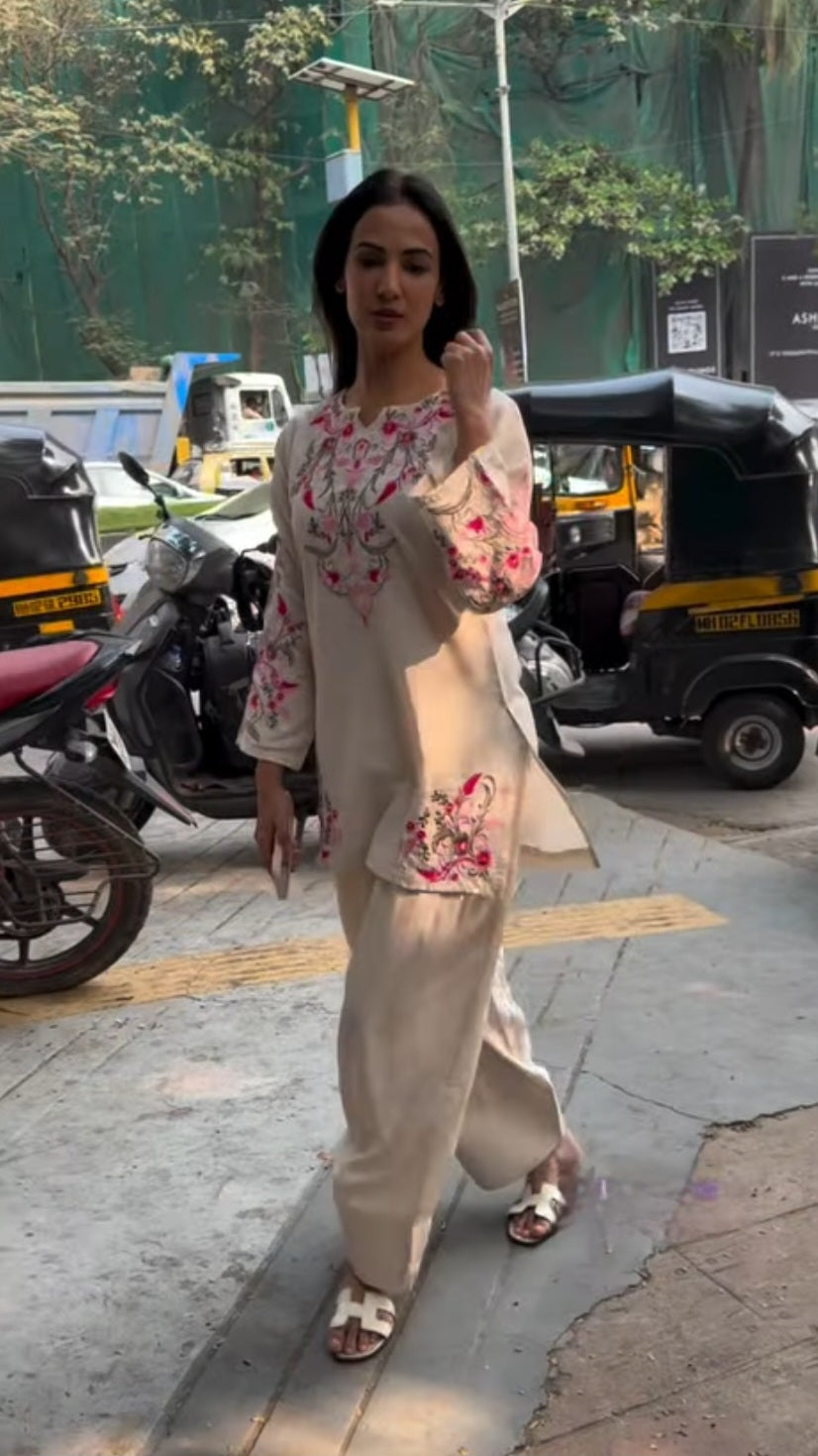 (A1) sonal set anr
